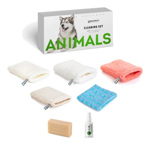 box-with-content_5d129b69-b355-4639-aba6-1fd2927e9ded.webp